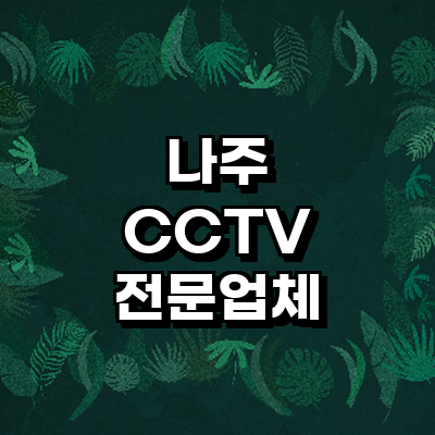 나주시 cctv