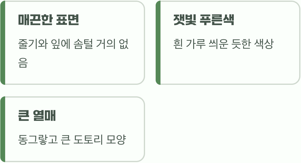 법이 금지하는 진짜 범인, 마약 양귀비
