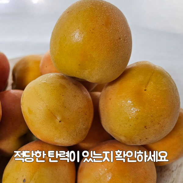 적당한 탄력이 있는지 확인하세요