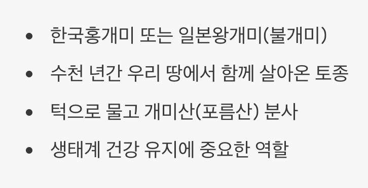 우리 주변의 친숙한 이웃, 한국 불개미