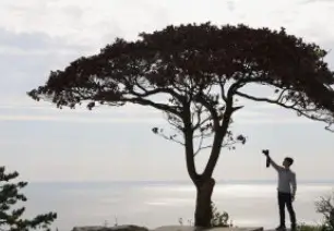 울릉도 독도 가족여행 준비 최적의 시기와 피해야 할 시기