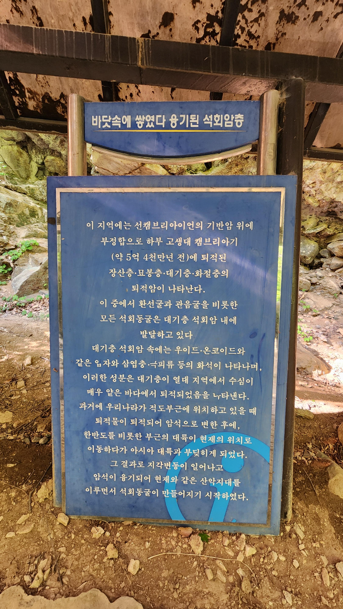강원도 삼척시 환선굴