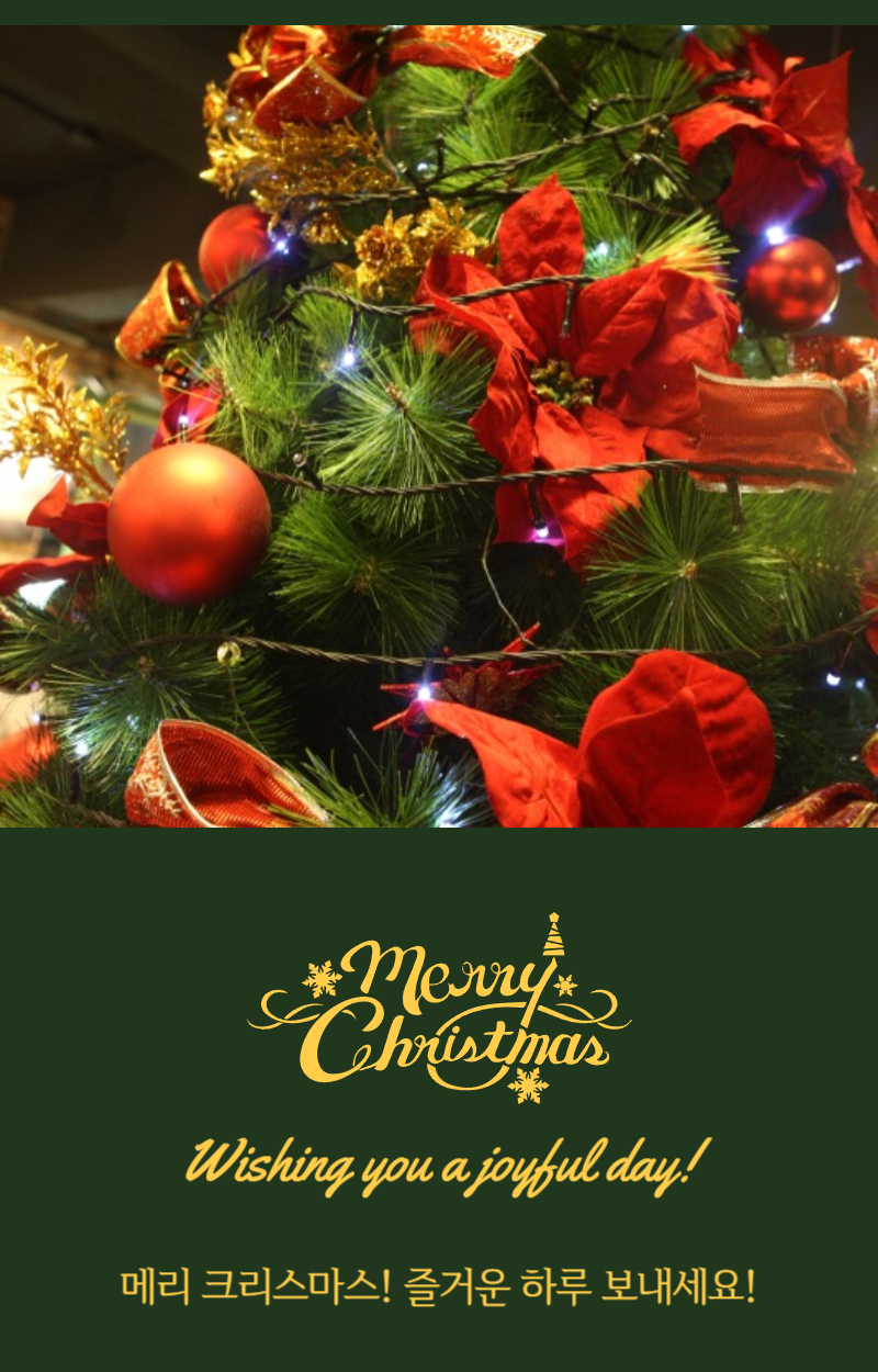 크리스마스 카드