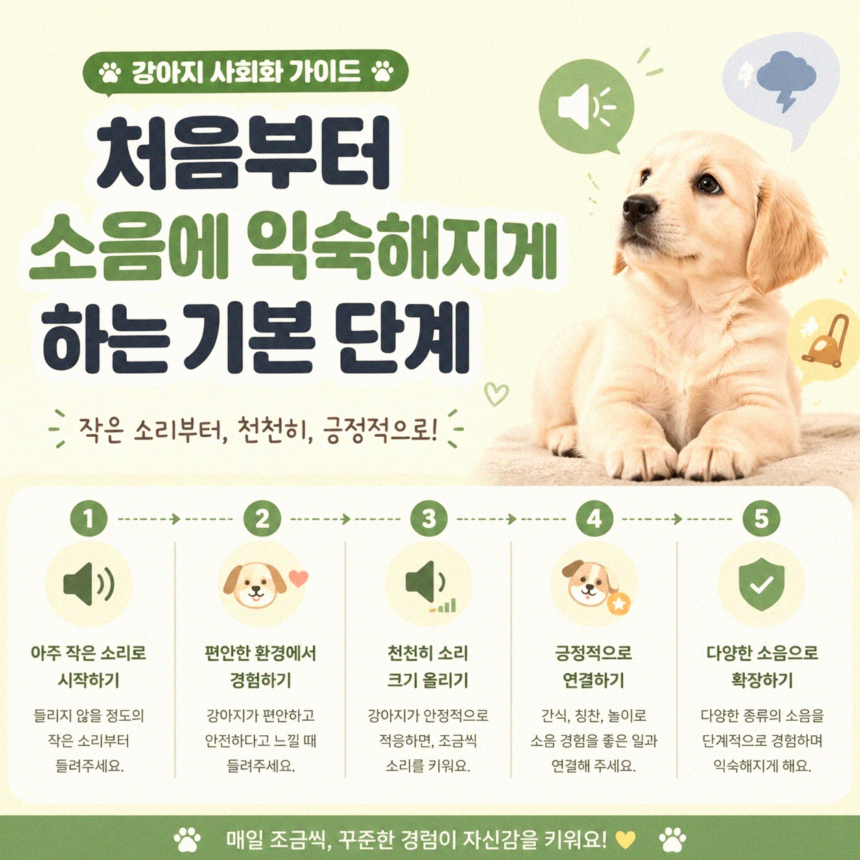 반려동물 드라이기 소리, 어떻게 적응시킬까