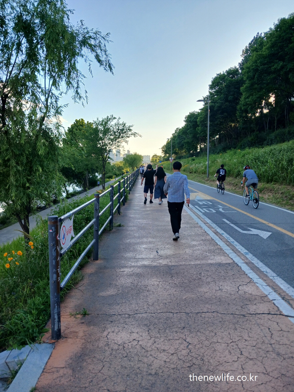 People walking on a riverside path next to a bike lane – a common walking environment that may cause knee pain if overused-자전거 도로 옆 인도가 분리된 한강 걷기 코스에서 사람들이 걷는 모습
