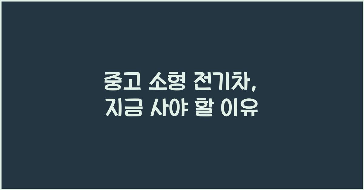 중고 소형 전기차