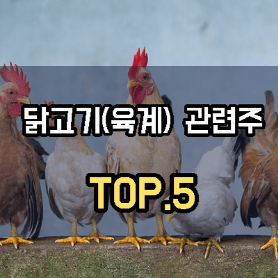 닭고기-관련주