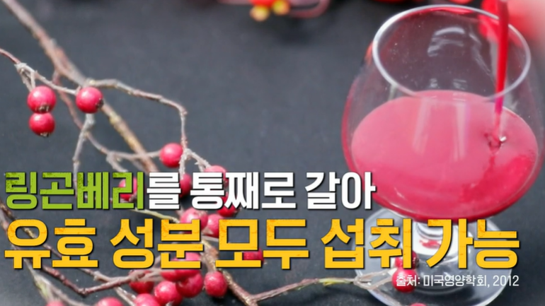 링곤베리 퓨레 먹는 법