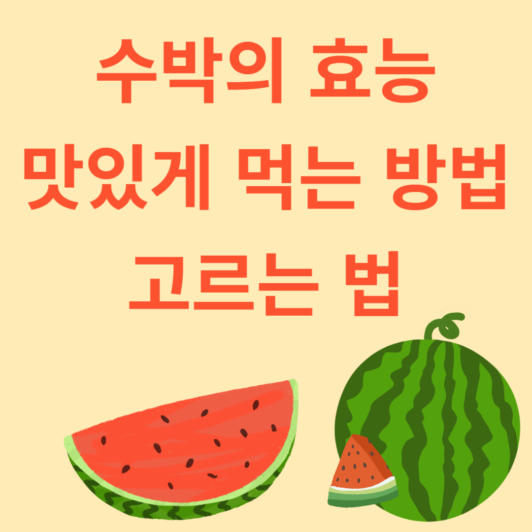 여름 슈퍼 과일 수박의 효능과 고르는 법의 이해