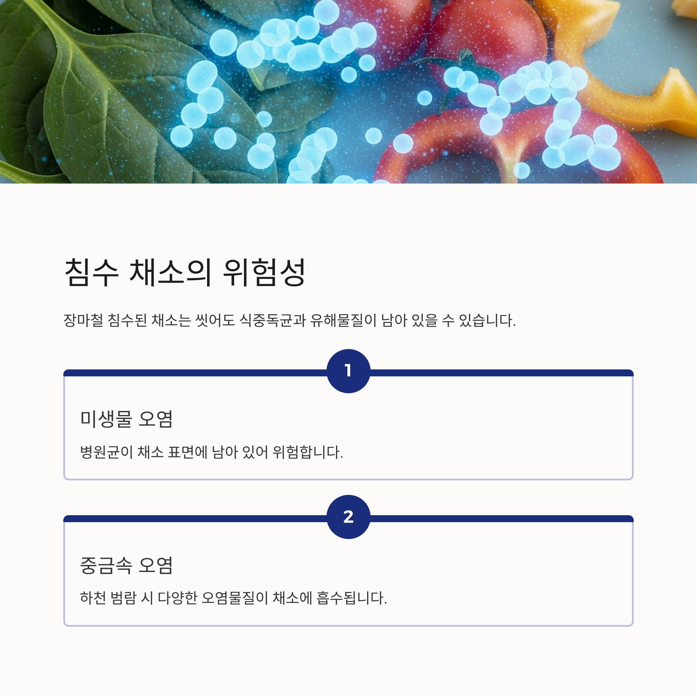 침수 채소의 위험성