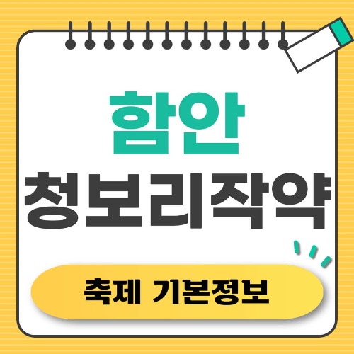 2025 함안 청보리 작약 축제