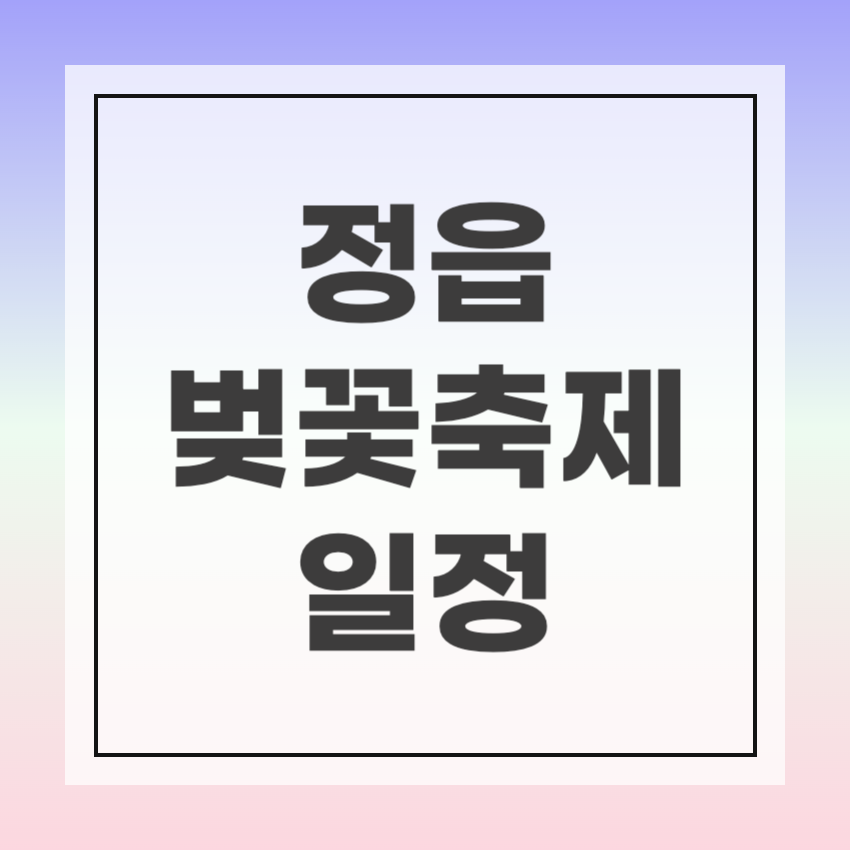 2024 정읍 벚꽃축제 썸