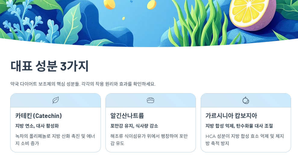 다이어트 보조제의 대표 성분 3가지