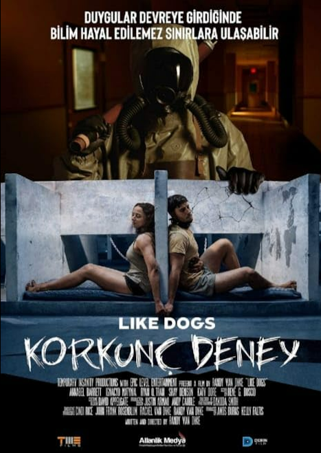 LIKEDOGS,개목걸이 영화,Like Dogs 리뷰,영화 결말,공포영화추천,OTT추천,스릴러영화,심리스릴러,독립영화