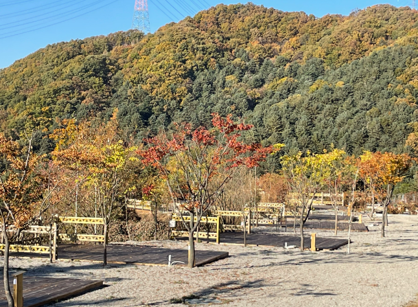경기-포천-엉클킴스-캠핑장-사진-입니다.