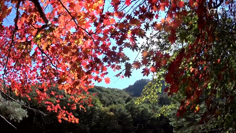 설악산 케이블카
