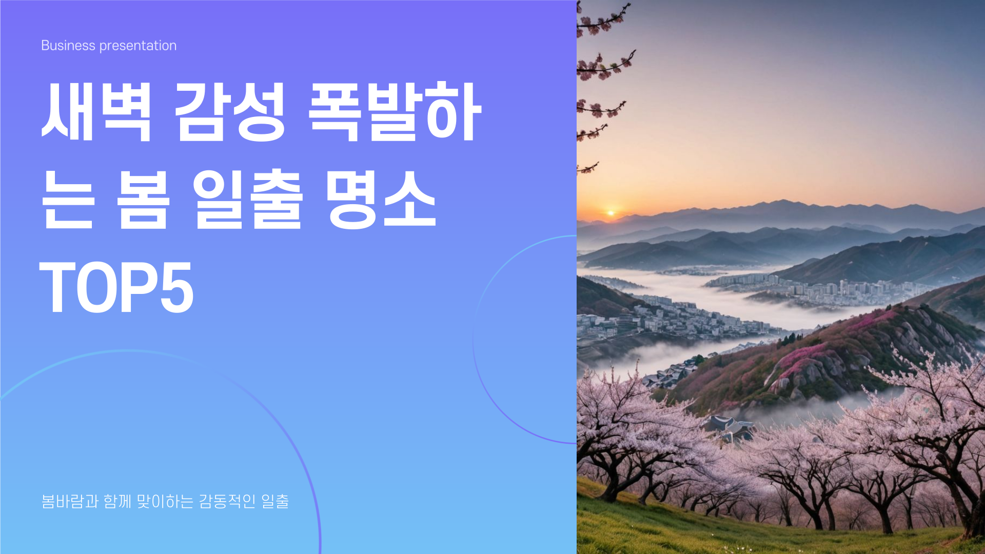 새벽 감성 폭발하는 봄 일출 명소 TOP5