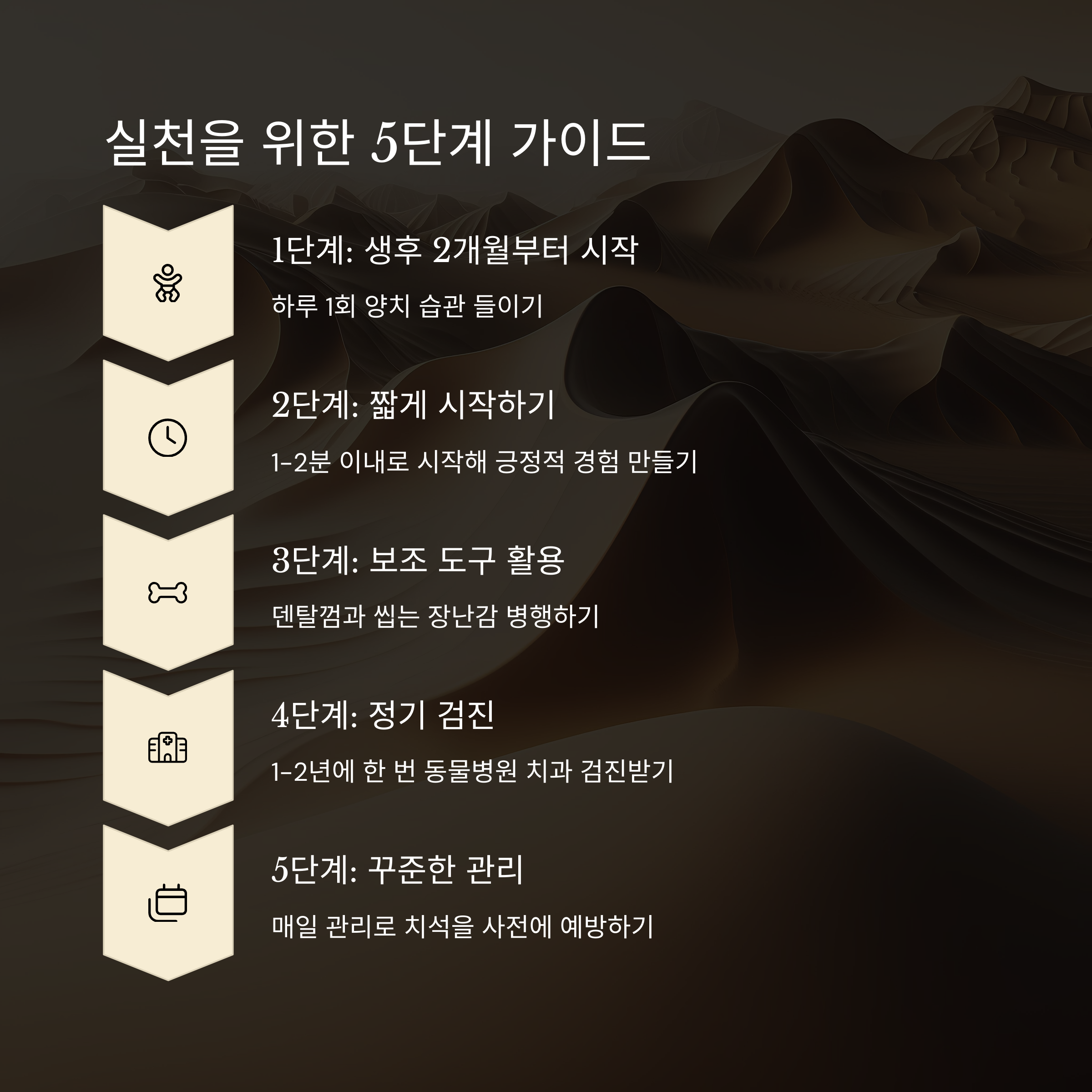 실천을 위한 5단계 가이드