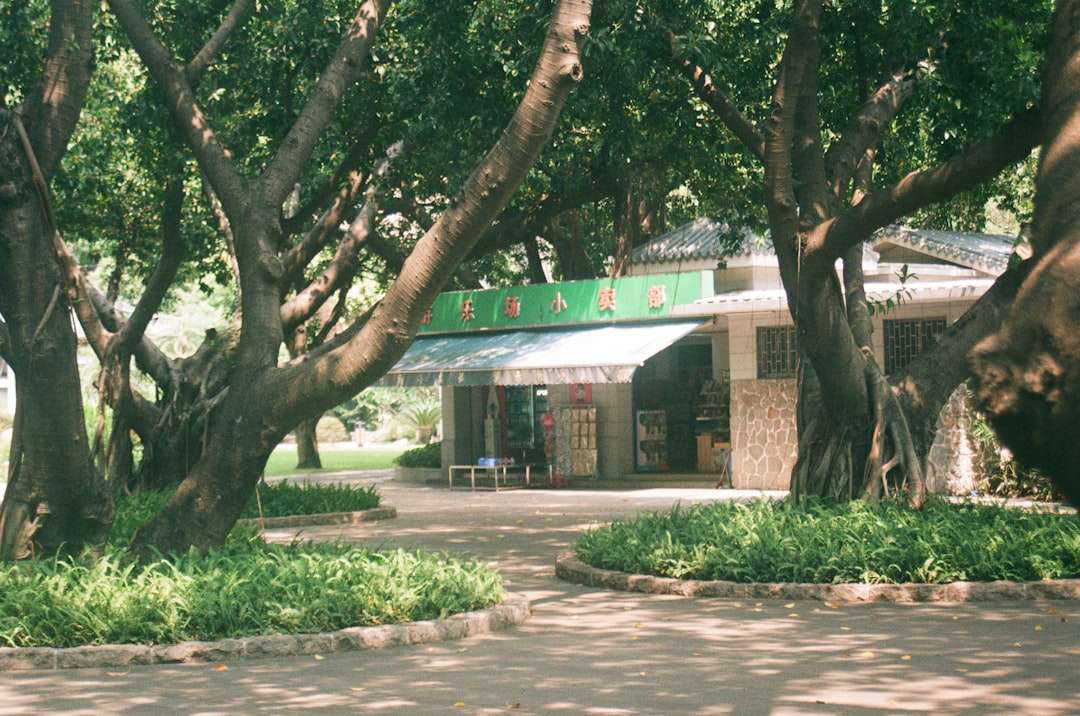 Senior Center