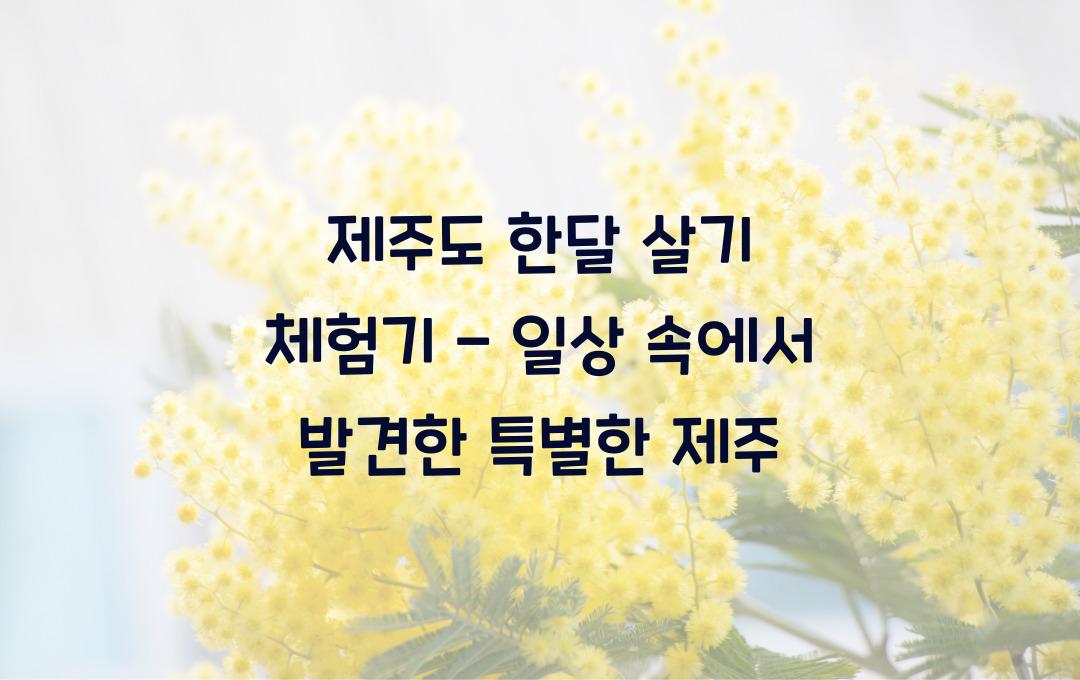 제주도 한달 살기 체험기