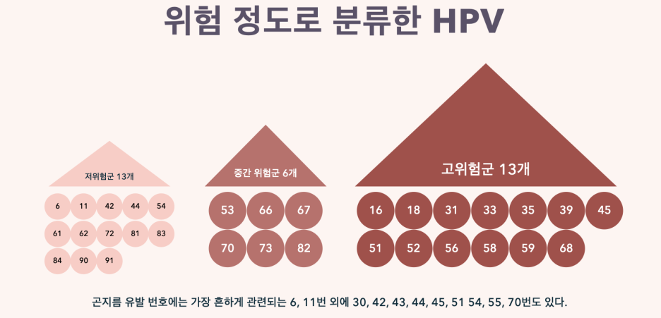 가다실9가 백신의 중요성과 HPV 감염 질환 완벽 가이드 자궁경부암 90% 예방하는 확실한 방법