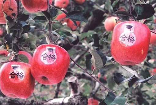 아오모리-특산품