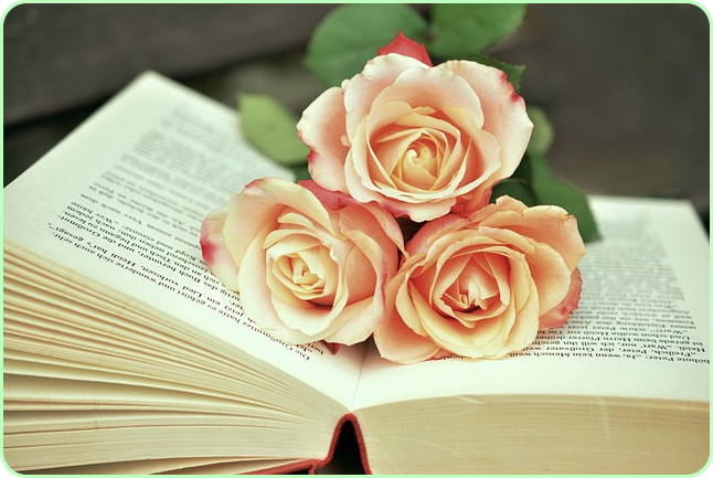 노벨문학상 한강 작품 수상작 ✅ 나이 아버지 채식주의자 고향 가족 ✅