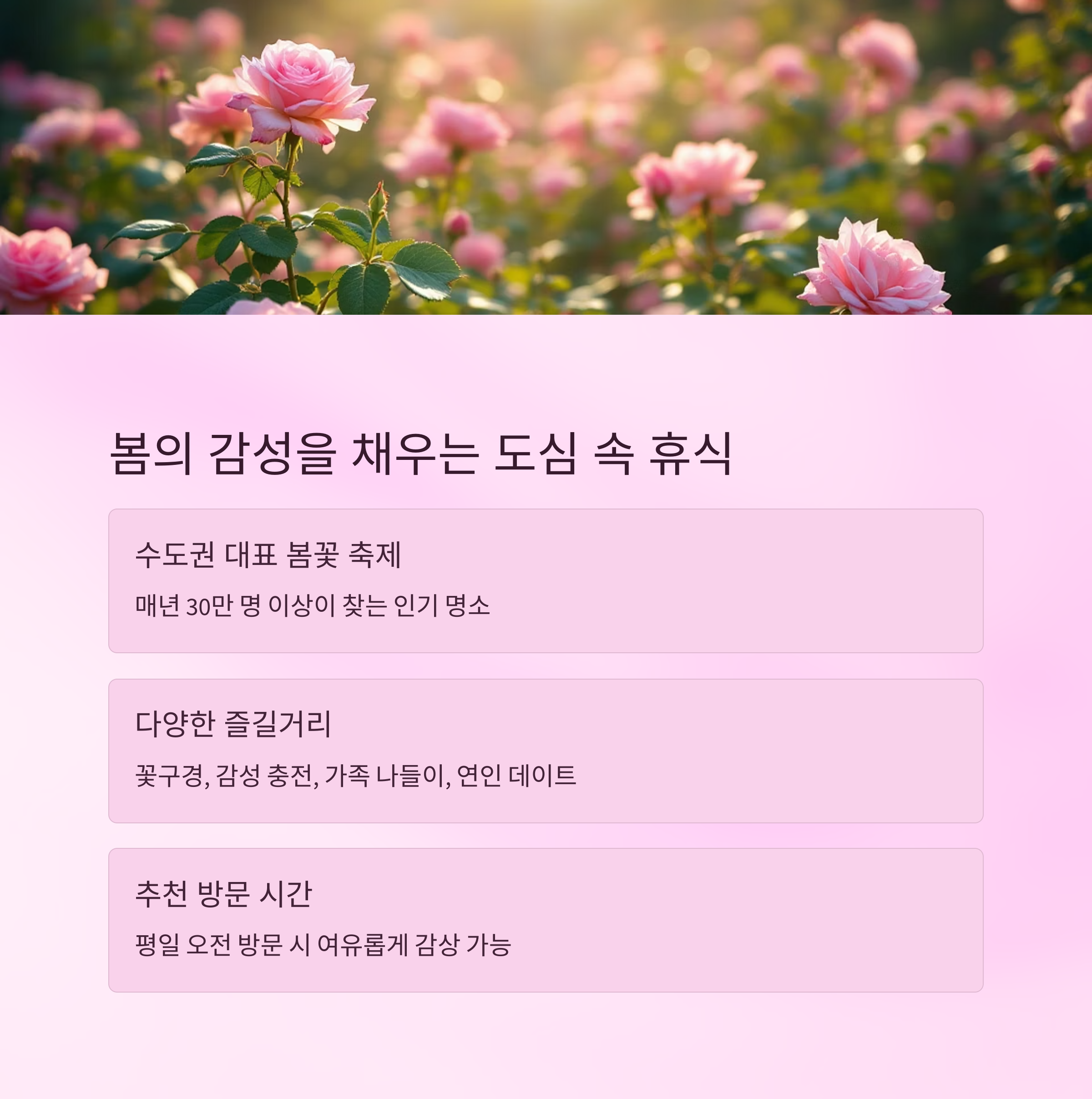 2025 부천 백만송이 장미축제,