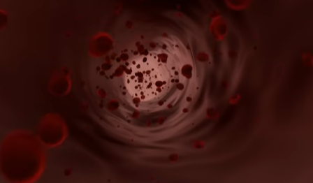 고혈압 약의 오해