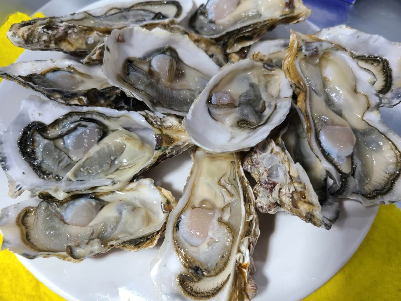 생방송투데이 동대문 모둠회 맛집 정보