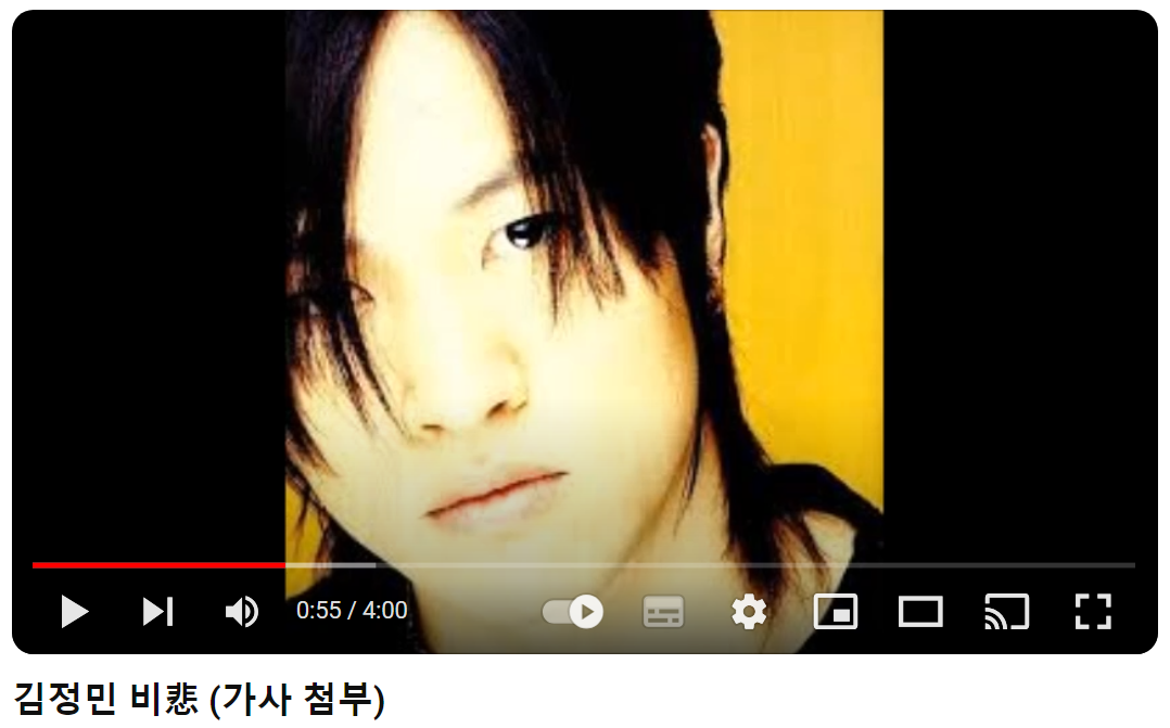 김정민-비-悲