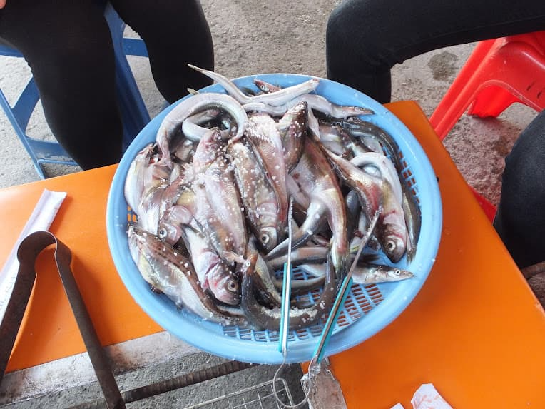 양미리와 도루묵