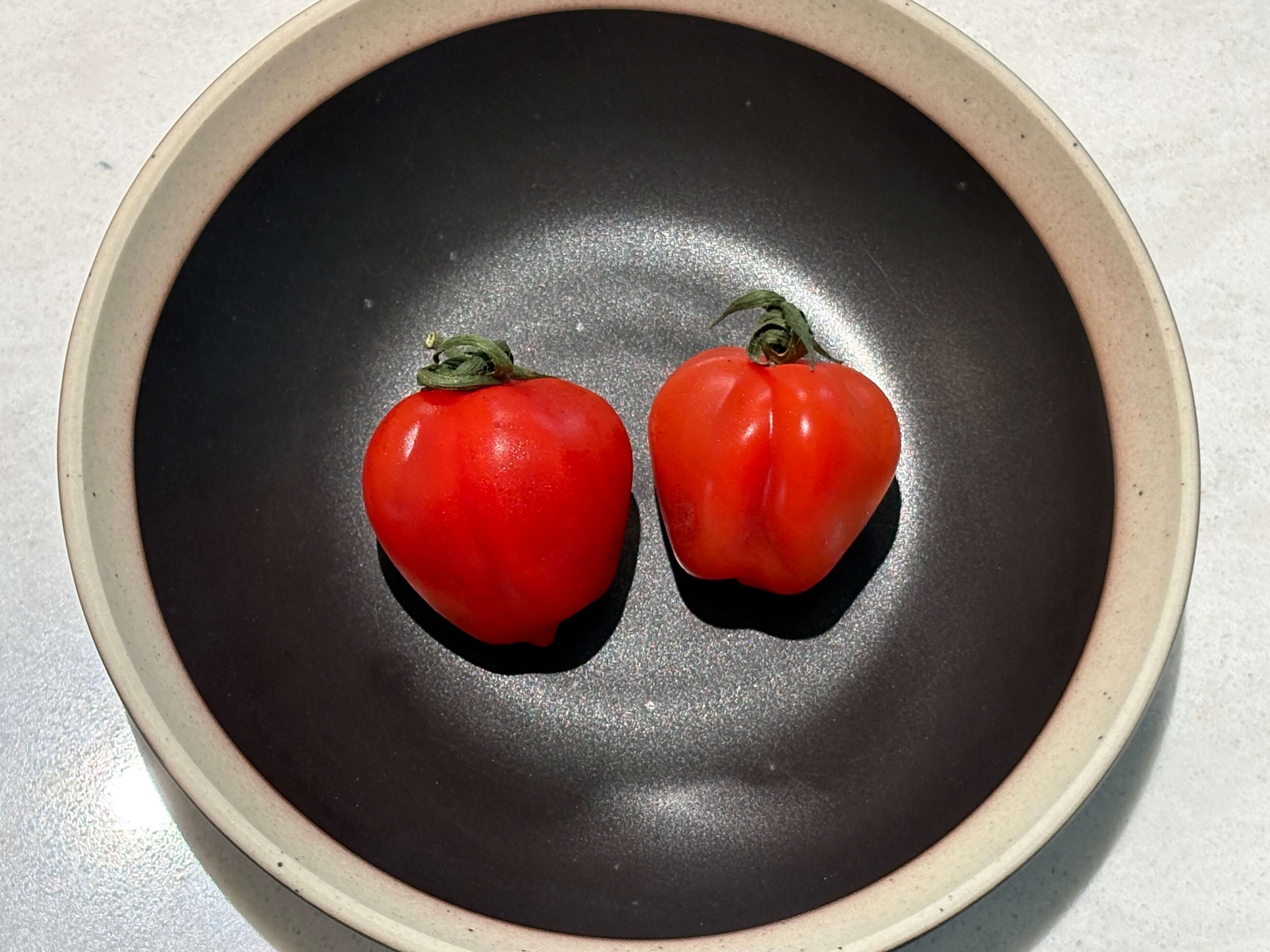 루비벨 토마토