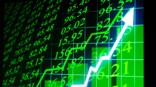 PBR 0.2는 청산 대상?&rdquo; 이재명 한마디에 흔들린 개미 표심의 진실