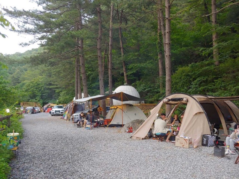 힐링별밤수목원캠핑장 소개