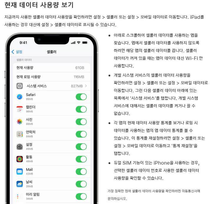 Apple 공식 지원 - 현재 데이터 사용량 보기 안내