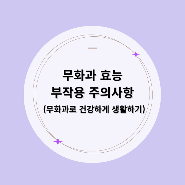 무화과 효능 부작용 주의사항 무화과로 건강하게 생활하기