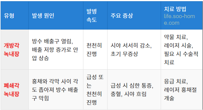 녹내장의 주요 유형