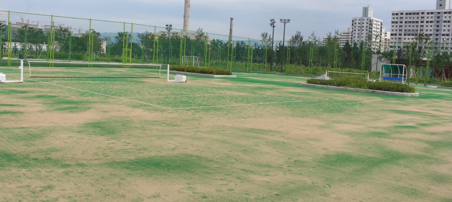 탄천체육시설 마루공원 축구장 테니스장