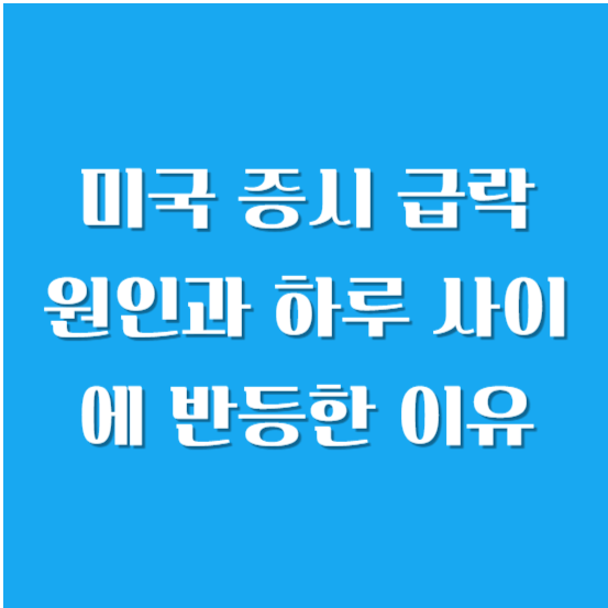 미국 증시 급락 원인과 하루 사이에 반등한 이유