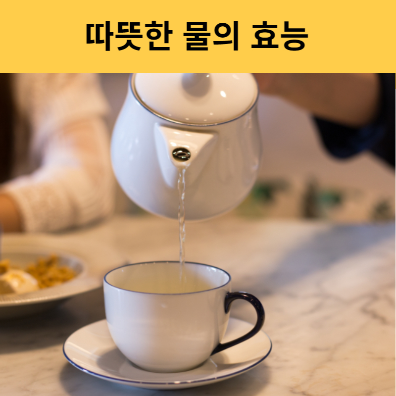 따뜻한 물의 효능