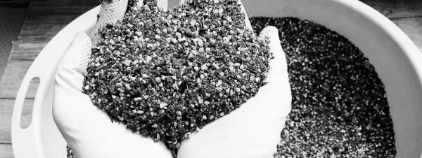 다육이 분갈이 흙