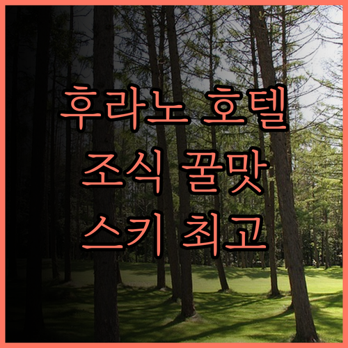 뉴 후라노 프린스 호텔 후기.. 훌륭