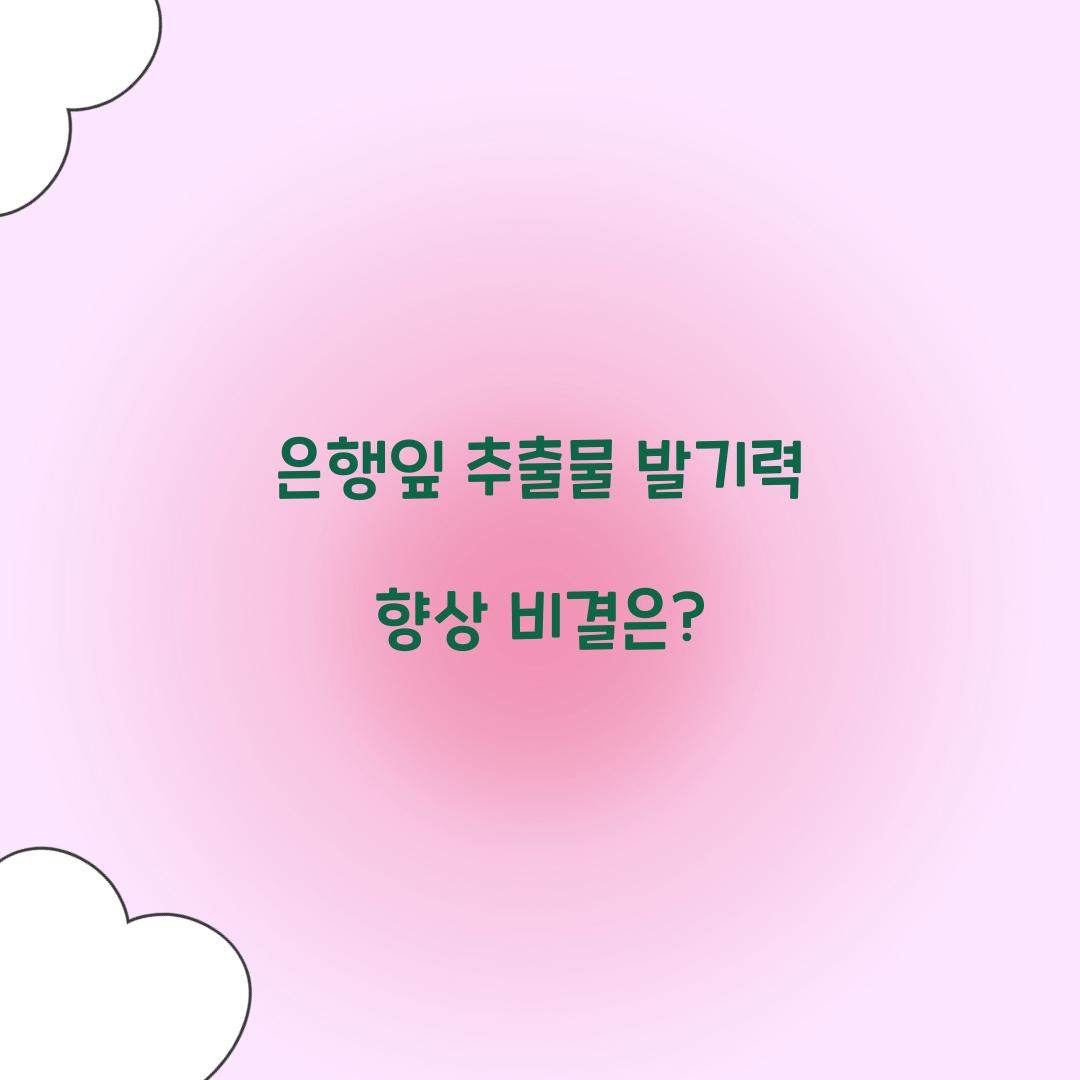 은행잎 추출물 발기력