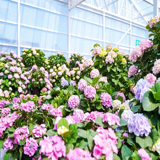 6월 국내 여행지 추천