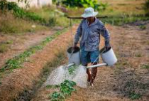 농민수당 신청자격 확인 및 지급 신청