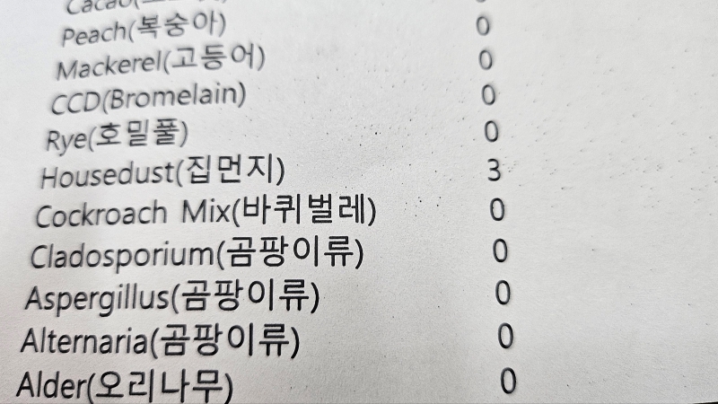 마스트 검사결과 2