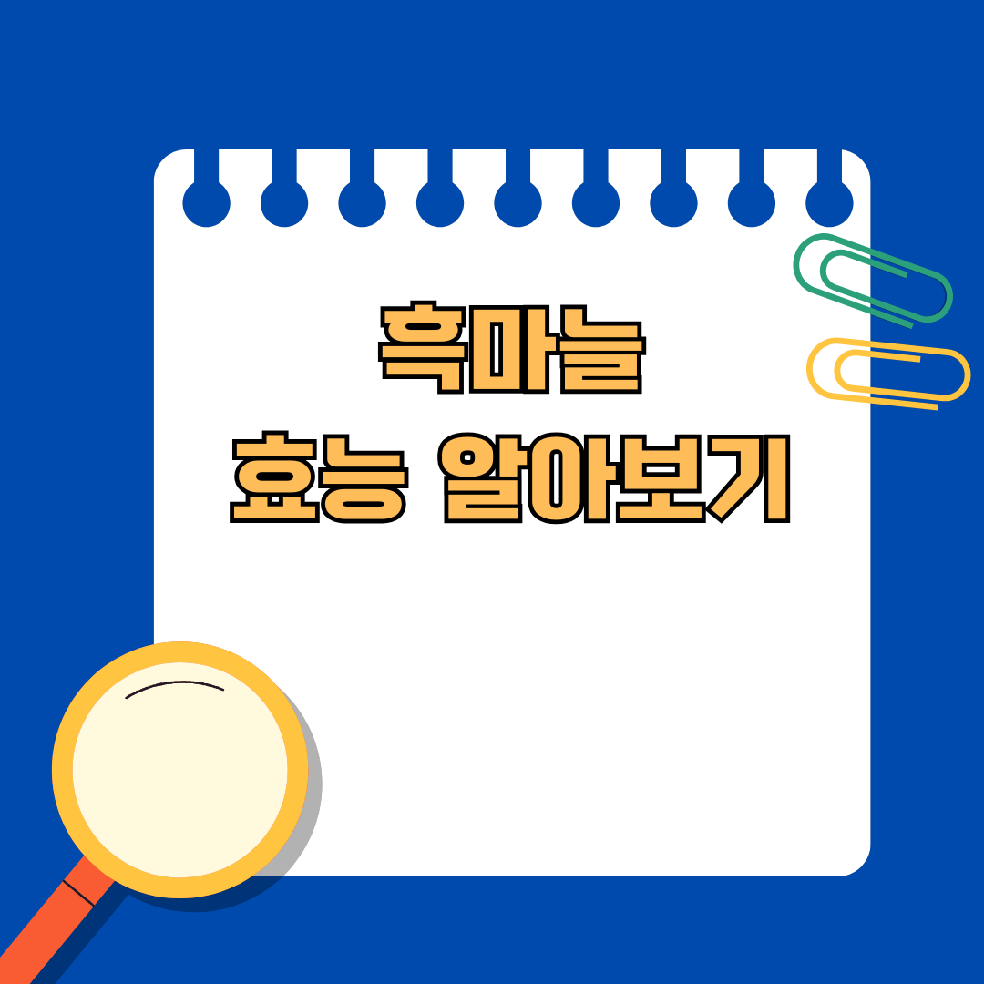 면역력 높이는 음식 중 하나! 흑마늘 효능 파헤치기