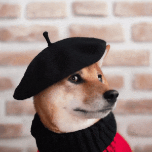 oenai-sora-dog-movie