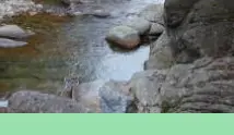 동학사계곡